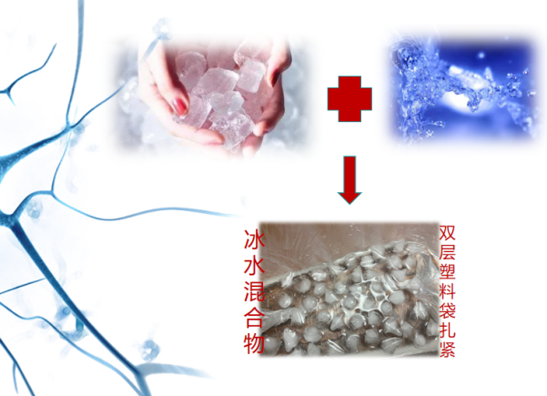 微信图片_20211223093210.png